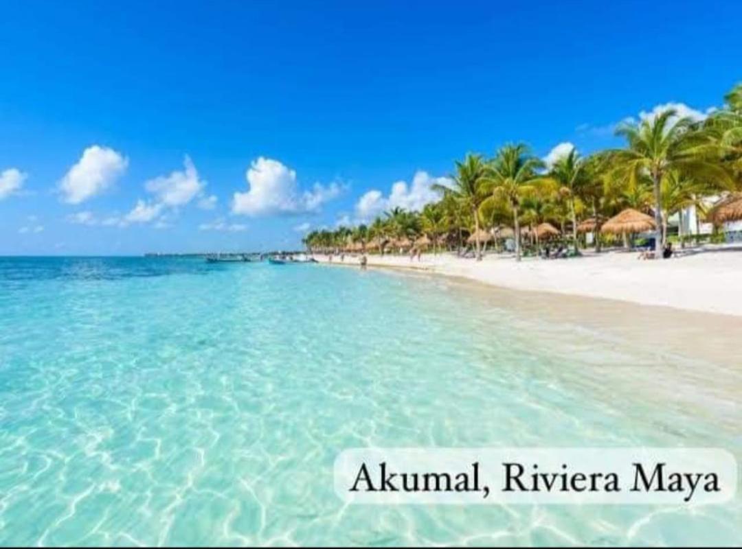 El Ultimo Maya Akumal Esterno foto